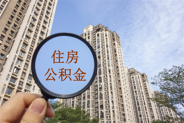 长葛离职后公司不给转公积金怎么办（离职后公司不给转社保怎么办）